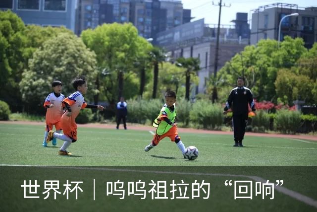 世界杯｜呜呜祖拉的“回响”
