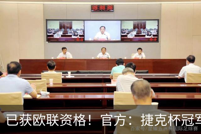 已获欧联资格！官方：捷克杯冠军卡维纳因贿赂裁判和球员被罚降级