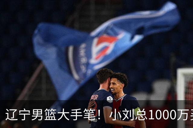 辽宁男篮大手笔！小刘总1000万买断段睿骐，4年B类合同，赵继伟接班人！