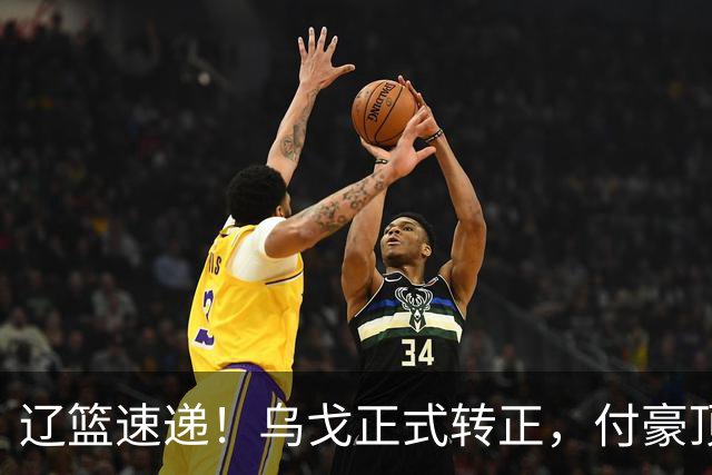 辽篮速递！乌戈正式转正，付豪顶薪续约，球队全力支持赵继伟，辽篮潜力小将入选国家队