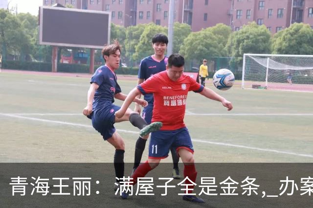 青海王丽：满屋子全是金条, 办案人员数到手抖, 丈夫受不了提前离场